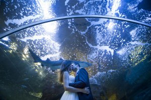 bodas aquarium donosti